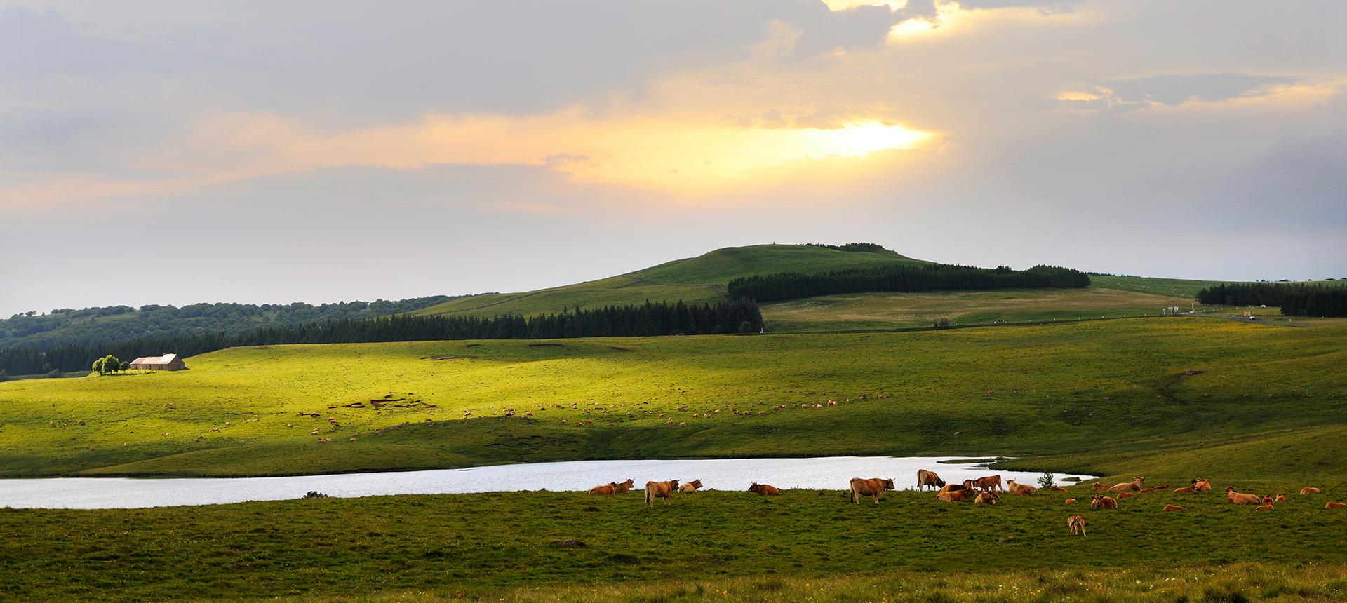 L'Estive d'Aubrac