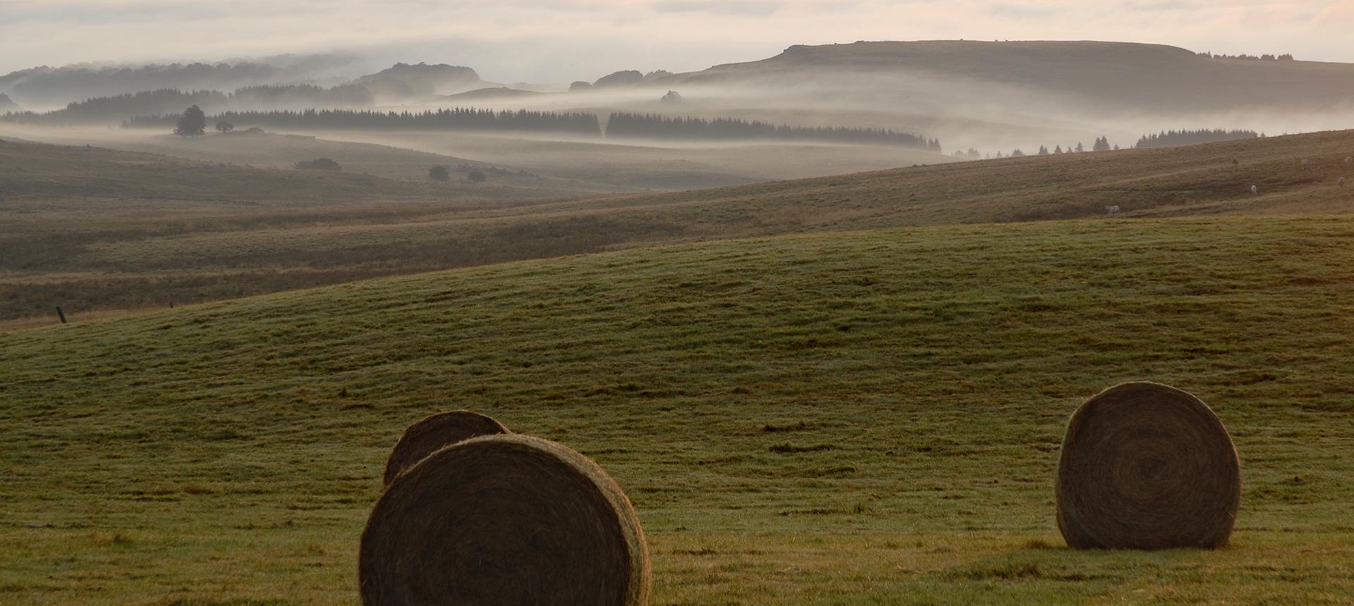 L'Estive d'Aubrac