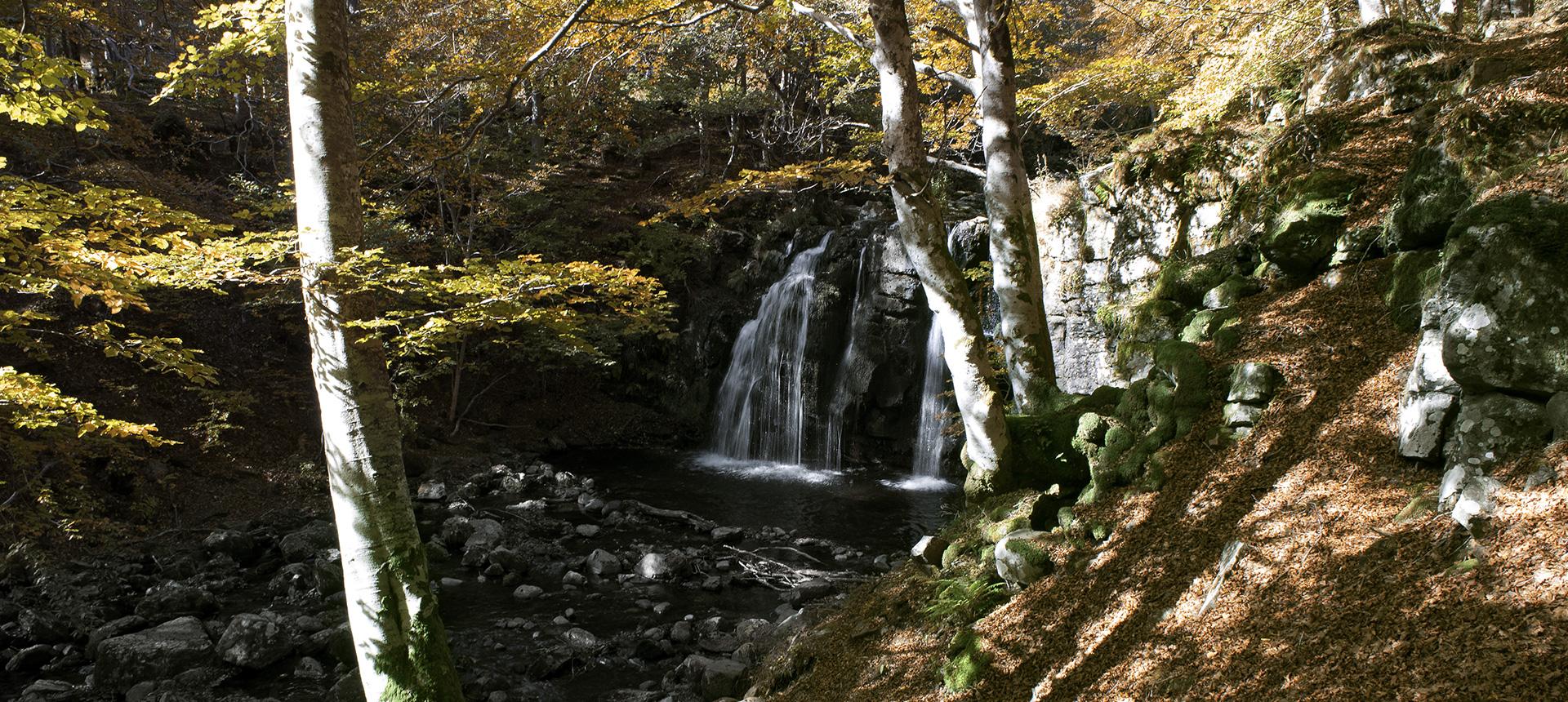 L'Estive d'Aubrac