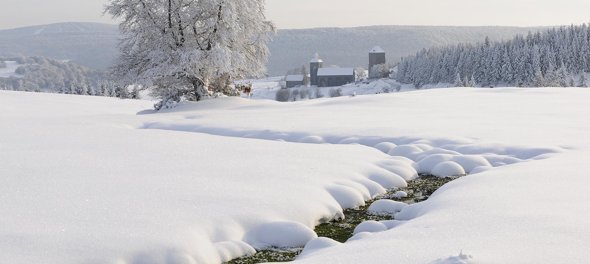 L'Estive d'Aubrac