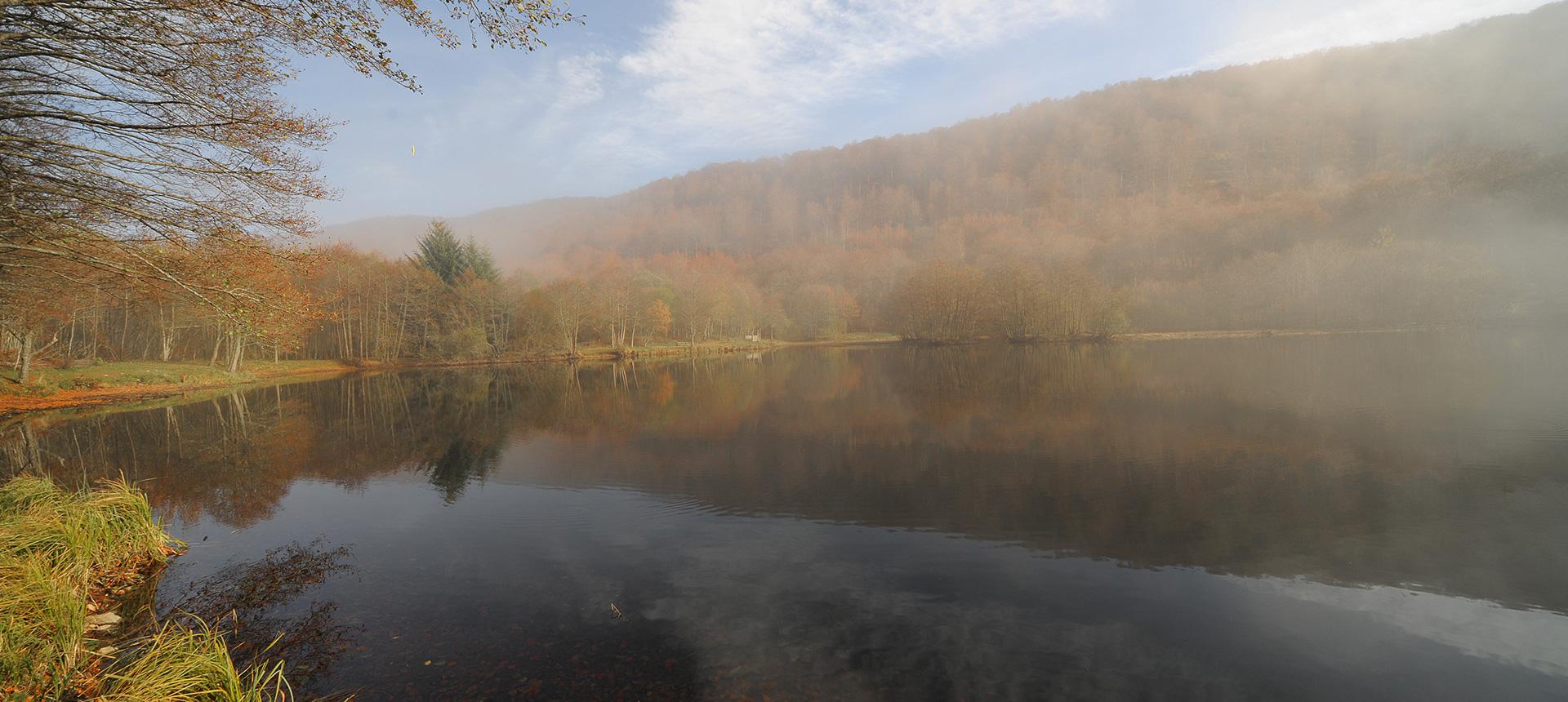 L'Estive d'Aubrac